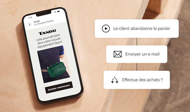 Une automatisation du parcours client utilisée pour envoyer un e-mail lorsqu'un client abandonne son panier d'achats en ligne.