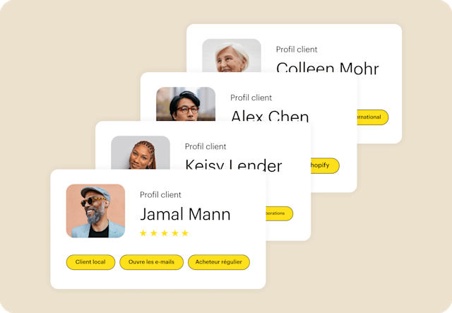 Les visiteurs regroupés en segments, tels que "Abonné" et "Dirigeant d'entreprise", et les balises d'audience, telles que "Clients Shopify".